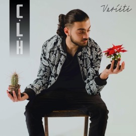 Revenu (feat. Frank'Emcy) C.L.H