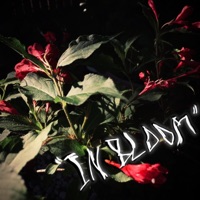 In Bloom - Single - TwoFace SoSelfish & SlimReaper