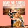 İstikrarlı Hayal Hakikattir - Gaye Su Akyol