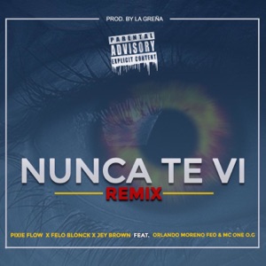 Nunca Te Ví (feat. Orlando Moreno Feo & MC One O.G) [Remix]