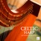 Comple De La Blanche Blish - Celtic Harp Soundscapes lyrics