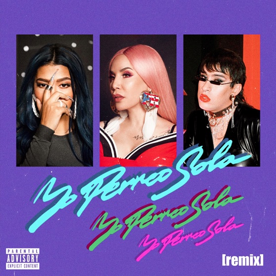 Cover artwork for Yo Perreo Sola