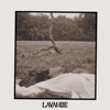 Lavande - Single