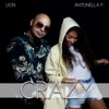 Crazy (feat. Antonella Ferraro) - Single
