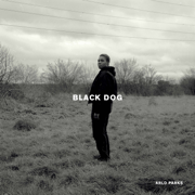 Black Dog - Arlo Parks