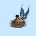 Baby Bird