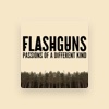 Flashguns