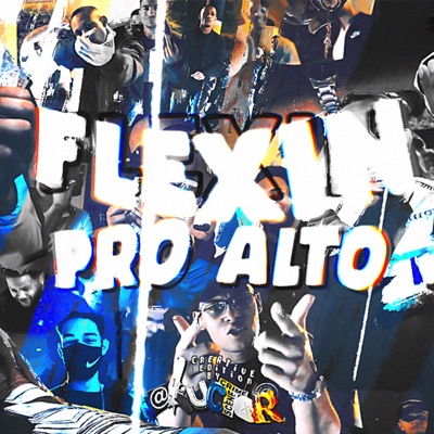 Pro Alto - Single