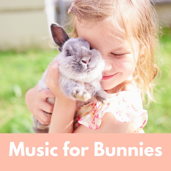 Music for Bunnies – Calming Music for Your Pet Rabbit