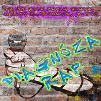 Diagnóza Rap (feat. Zneim Honor, Hardy Z., Ironnick & D-Toc) - Single - Driss Wolf