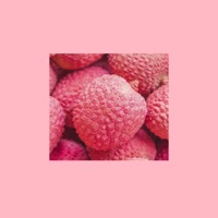 Litchi (feat. Yung Kwaii) - Single - Paul Xavier
