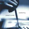 Joseph Curiale - Awakening 3)Joy