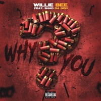 Why You (feat. Shad Da God) - Single - Willie Bee