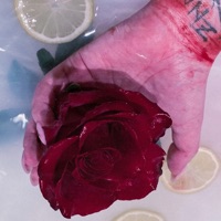 Dior - Single - NZ WRLD