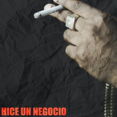 Hice un negocio - Single
