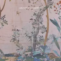 Hey Son — Jodymoon