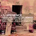 Afrolizer (LTJ Xperience Remix)