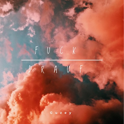 Fuck drauf - Single