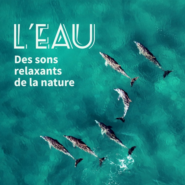 L’eau: Des sons relaxants de la nature