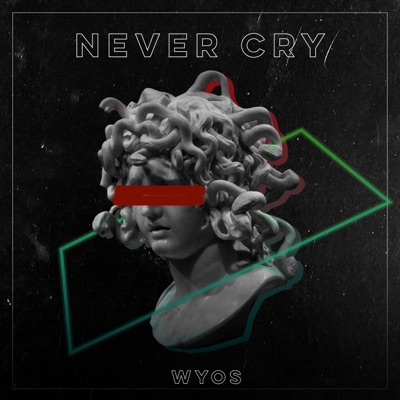 Never Cry - Single