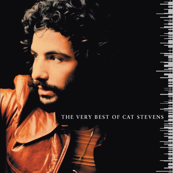 Cat Stevens - The First Cut Is The Deepest