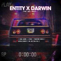 Ctrl & Alt & Delete - Single - Entity & Darwin