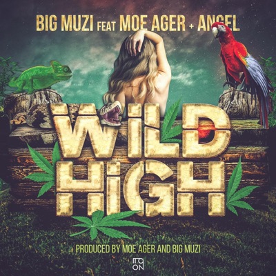 Wild High (feat. Moe Ager & AngelXXl) - Single