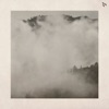 Buteo Buteo cover art