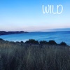 Wild - Single