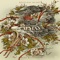 Indelible - Capstan lyrics