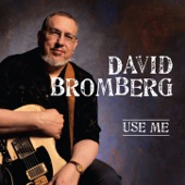 David Bromberg - Blue is Fallin'