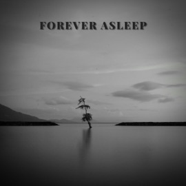 Forever Asleep BassDown Beats