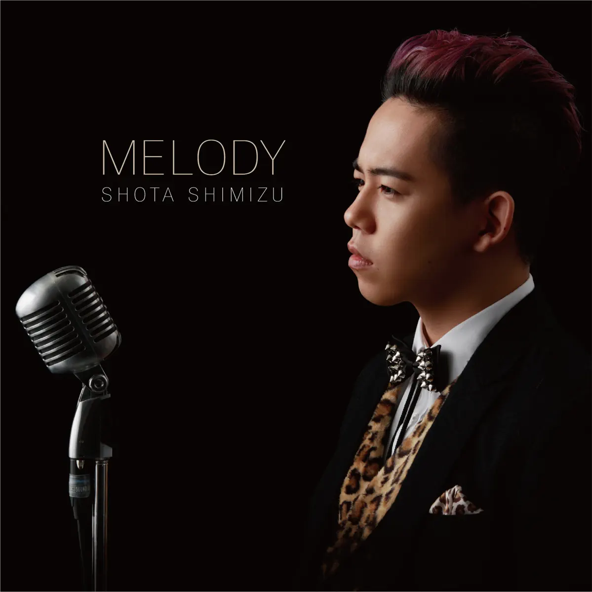 清水 翔太 - MELODY (2012) [iTunes Plus AAC M4A]-新房子
