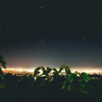 This Night - Single - BIDØ