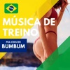 Música de Treino pra Crescer Bumbum - Melhores Canções Brasileiras de Exercicios para Aumentar Gluteos