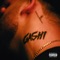 My Year - GASHI & G-Eazy lyrics