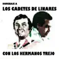 el carrito