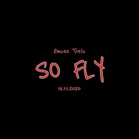 So Fly - Single - Emcee Tox!c