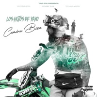 Camina Bien (feat. Flynt Hustle, Hungry Ham & Vita Valaguer) - Single - Los Hijos de Yayo