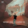 What Has It Come To (feat. Vipin) - Single