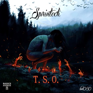 T.S.O. - EP