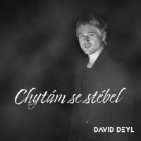 Chytám se stébel - Single - David Deyl