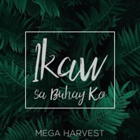 Ikaw Sa Buhay Ko - Single - Mega Harvest