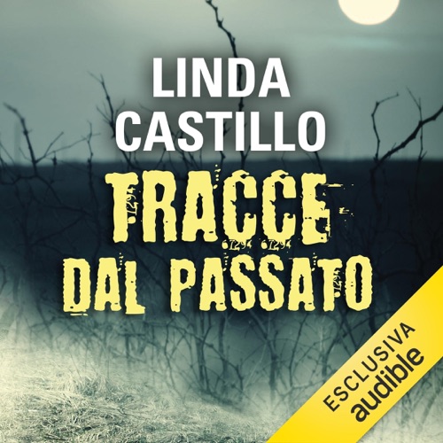 Tracce dal passato: Kate Burkholder 6 cover