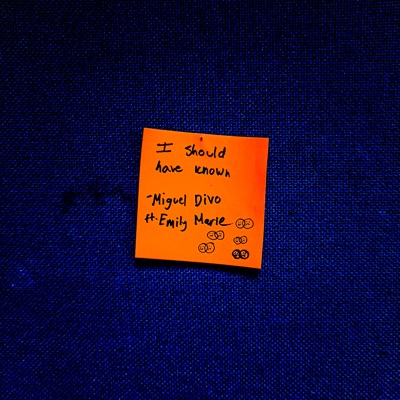 I Should Have Known (feat. Emily Marie) - Single
