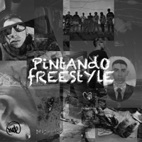 Pintando Freestyle - Single - Dude Mx