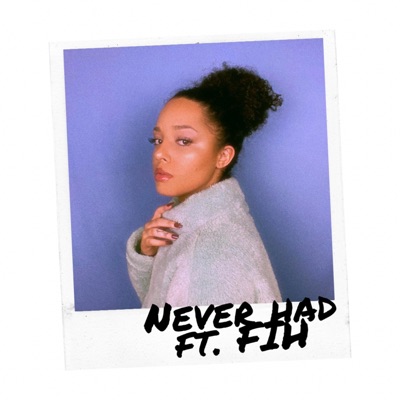 Never Had (feat. Fih) - Single