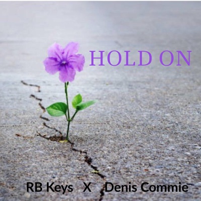 Hold on (feat. Denis Commie) [Theemotion Remix] - Single