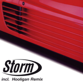 Storm (Radio Mix) - Storm