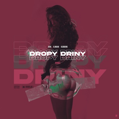 Dropy Driny (feat. Ark & Kubbini) - Single